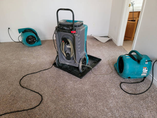 Best Commercial water damage restoration  in San Juan, TX