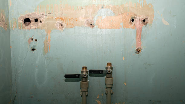 Best Local water damage restoration  in San Juan, TX