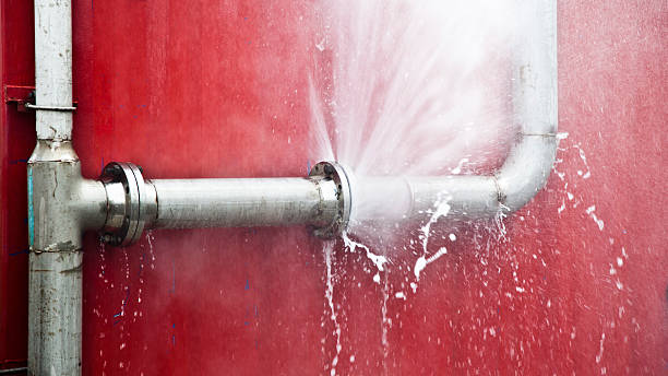  San Juan, TX Water damage restoration Pros